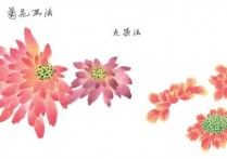 国画初学者入门步骤最简单菊花 国画菊花教程全过程