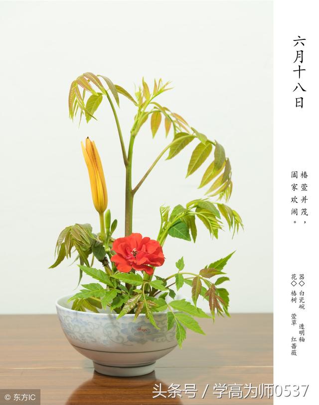 3.插茱萸和簪菊花