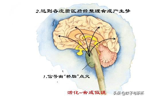 活化-合成假说意识图