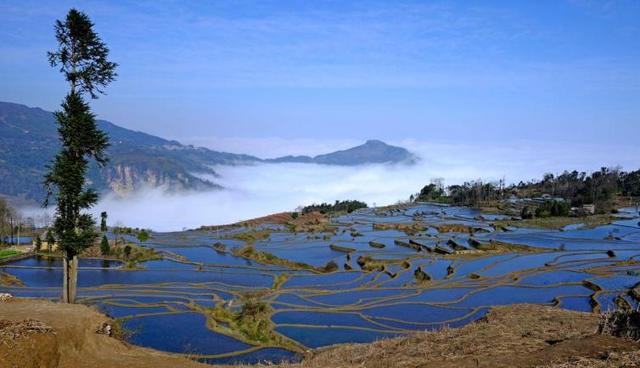 三、林芝—登山杖是你行走的助手