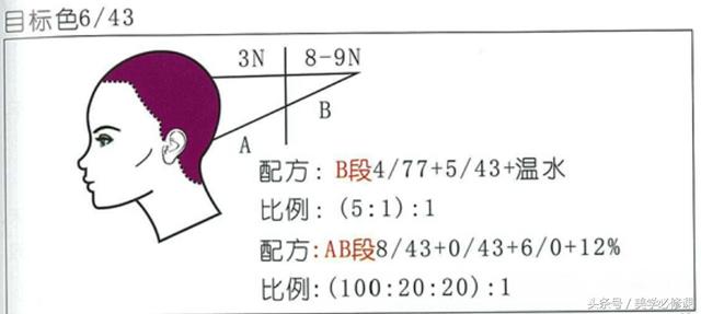 第4节棕色