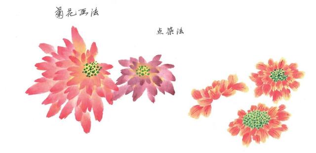 点染法画菊花