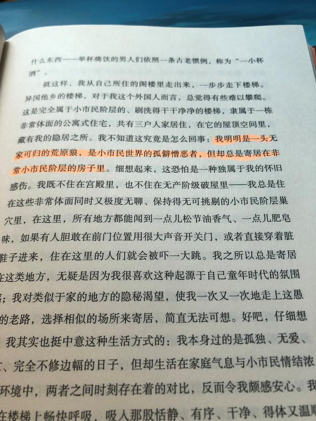 《荒原狼》中的男主哈利说自己是荒原狼，是冲动直率又孤僻的。