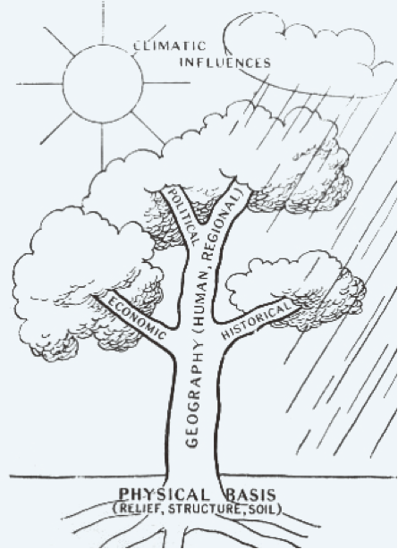 地理树（《人文地球》插图）